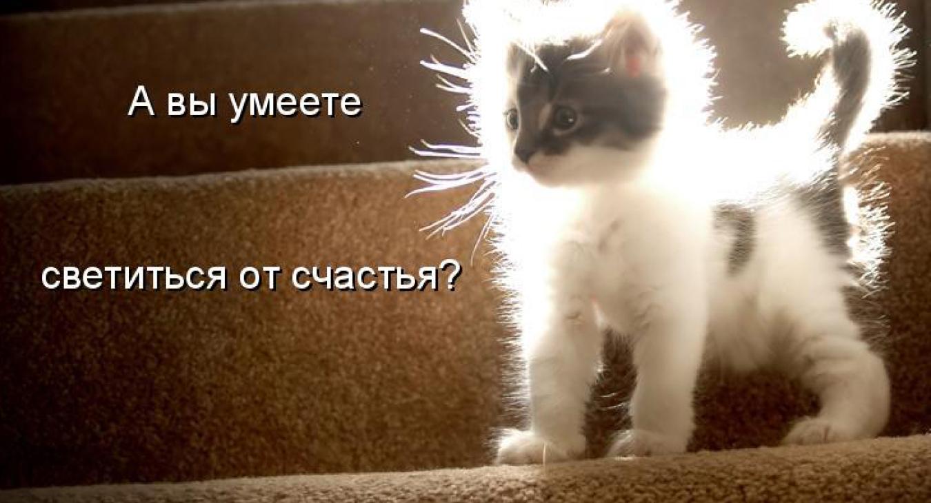 Реальные истории из жизни