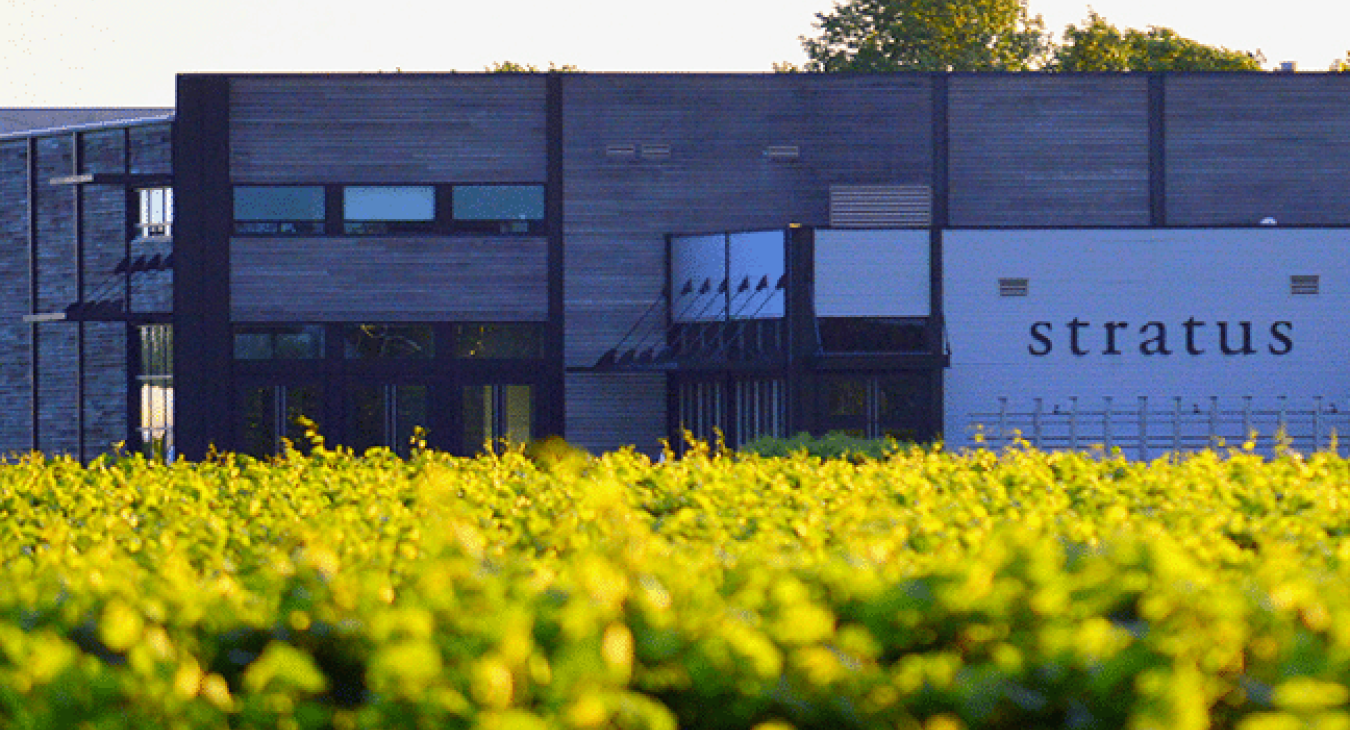 Stratus Vineyard
